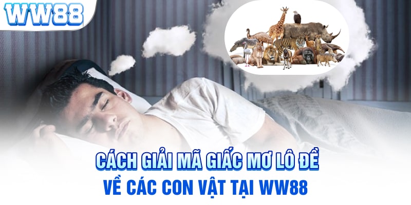 Cách giải mã giấc mơ lô đề về các con vật tại ww88