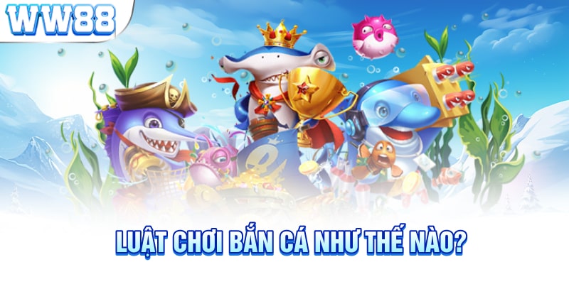 Luật chơi bắn cá như thế nào?