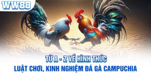 Từ A - Z Về Hình Thức, Luật Chơi, Kinh Nghiệm Đá Gà Campuchia