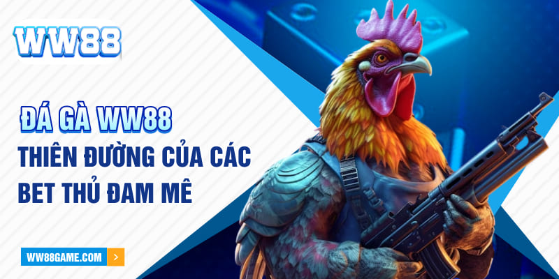 Đá gà WW88 - Thiên Đường Của Các Bet Thủ Đam Mê