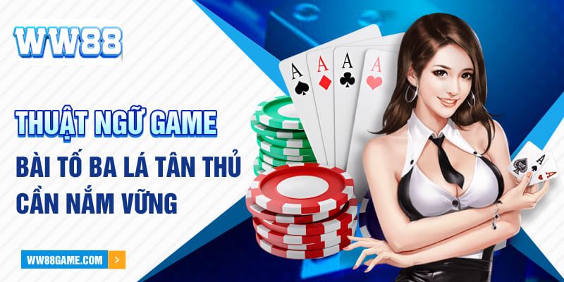 Thuật ngữ chơi game bài tố ba lá tân thủ cần nắm vững