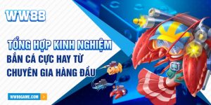 Tổng Hợp Kinh Nghiệm Bắn Cá Cực Hay Từ Chuyên Gia Hàng Đầu